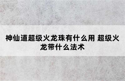 神仙道超级火龙珠有什么用 超级火龙带什么法术